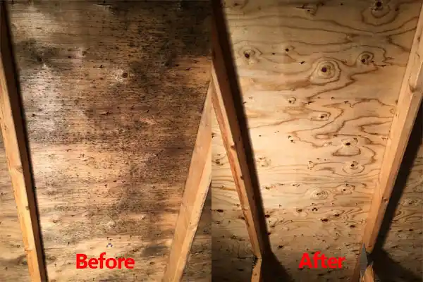 water damage restoration service Maryland Heights